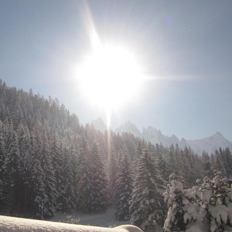 Beausoleil Bed & Breakfast Chamonix Cameră foto