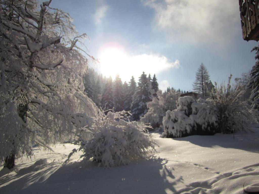 Beausoleil Bed & Breakfast Chamonix Exterior foto